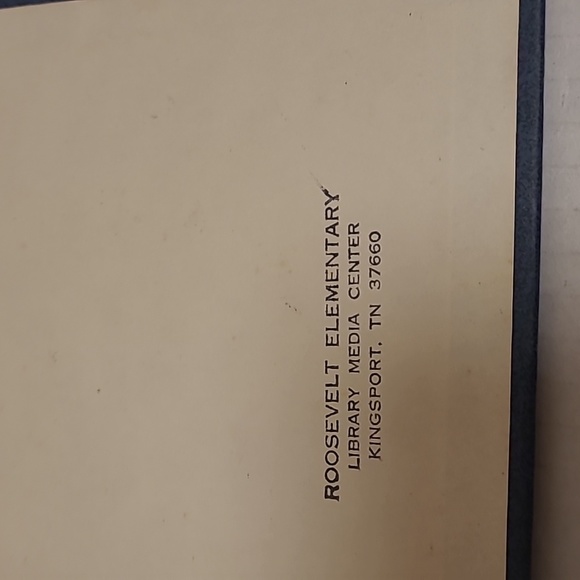 Set of 3 Dear America Books - Picture 13 of 16